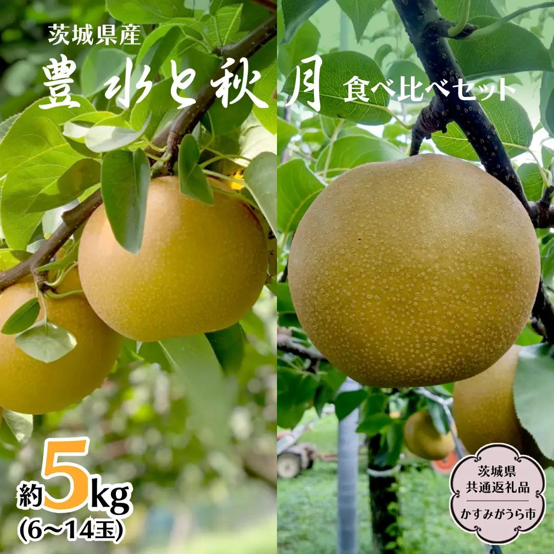 豊水 ・ 秋月 食べ比べ セット 約 5kg 6玉～14玉 (茨城県共通返礼品 かすみがうら市) 産地直送 久保田果樹園 フルーツ 甘い 直送 茨城 限定 ギフト 梨 秋月 あきづき 豊水 ほうすい 果物 [DH005sa]