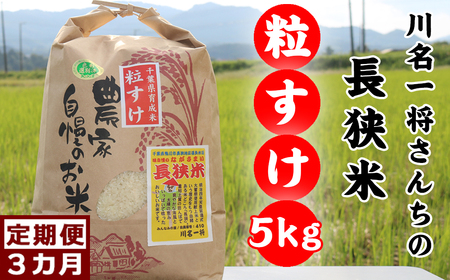 【定期便】川名一将さんちの長狭米　長狭米『粒すけ』5kg×3回 [0042-0005]