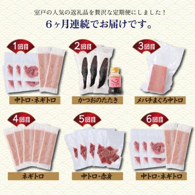 ふるさと納税 室戸市 【贅沢定期便「鶴」/全6回】タカシン水産厳選 高知の海鮮セット |  | 01