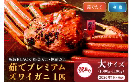 2026年1月～発送＜平日着>訳あり【蟹の匠 魚政】茹で　プレミアムズワイガニ 魚政BLACK（松葉ガニ・越前ガニ） 大サイズ（1000～1100g） 1匹【2026年1月～発送：平日】＜冷蔵＞ 松葉がに 松葉蟹 越前蟹 ズワイガニ 姿 ボイル ゆで 越前かに わけあり　UO01315