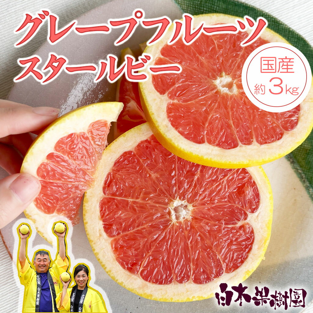 【ふるさと納税】先行予約 【果樹園直送】国産グレープフルーツ ピンク 約3kg （7～10個入り）国産グレープフルーツ　スタールビー　約3kg　果物　柑橘　フルーツ　みかん　高知県土佐市　お取り寄せ 産地直送　白木果樹園 ふるさとのうぜい 故郷納税 返礼品