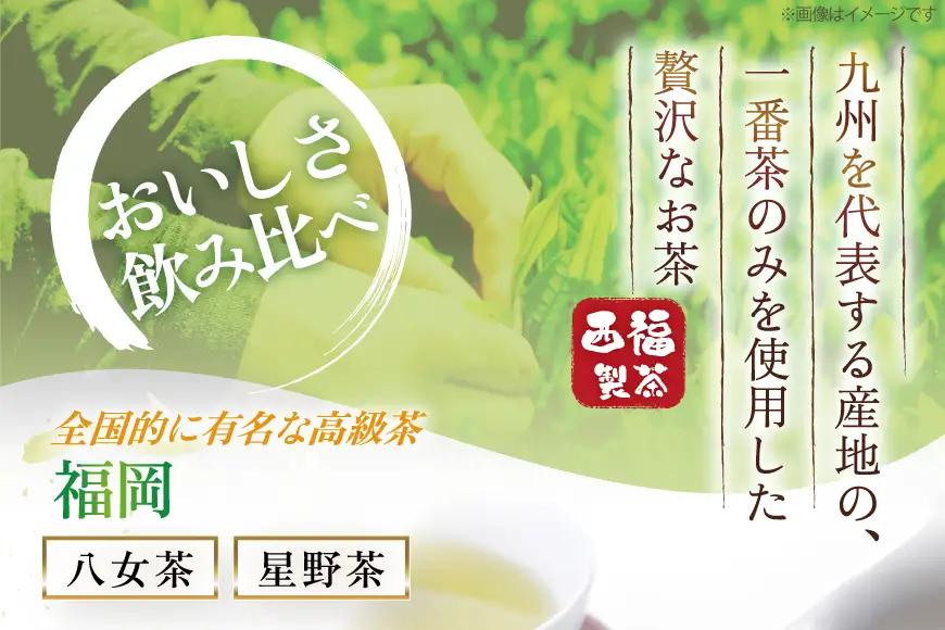 緑茶 飲み比べ 九州 一番摘み 銘茶 5種 各2本 お茶