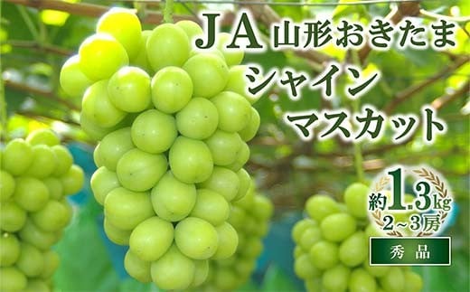 【令和8年産先行予約】 JA シャインマスカット 約1.3kg (2～3房 秀) 《令和8年9月下旬～発送》 『JA山形おきたま』 マスカット ぶどう 果物 フルーツ デザート 山形県 南陽市 [2054]