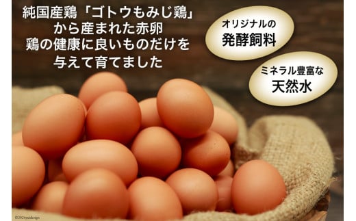 BI032 6回 定期便 雲仙たまごLサイズ 40個 (10個入り×4パック) (37個＋割れ補償3個入り) [ 卵 たまご 生卵 鶏卵 赤卵 玉子 新鮮 塚ちゃん雲仙たまご村 長崎県 島原市 ]