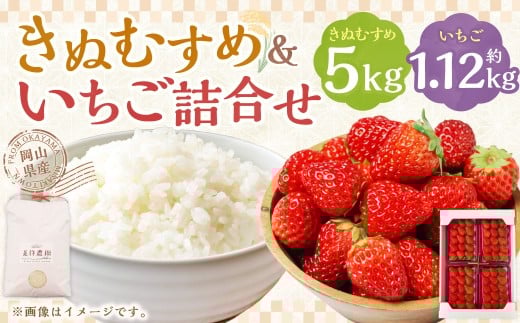 【令和7年産】 新米・精米 きぬむすめ5㎏&いちご詰合せ（約280g×4パック） 【2026年1月上旬から5月上旬頃発送予定】いちご お米 白米 セット 冷蔵 岡山県 美咲町