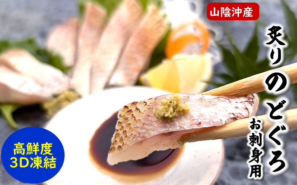 
山陰沖　お刺身用あぶりノドグロ　2パック　高級魚 アカムツ　生食用【1155814】
