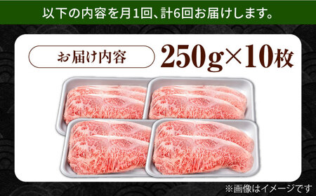 【6回定期便】佐賀県産 黒毛和牛 贅沢ロースステーキ 250g×10枚（計2.5kg）【株式会社いろは精肉店】[IAG097]