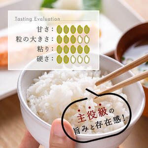 【ふるなびWEEK対象】無洗米 新潟県産 令和6年産 コシヒカリ 5kg 精米 したてをお届け 新潟のど真ん中 見附市 こしひかり 米 お米 白米 国産 ごはん ご飯 FN-Limited