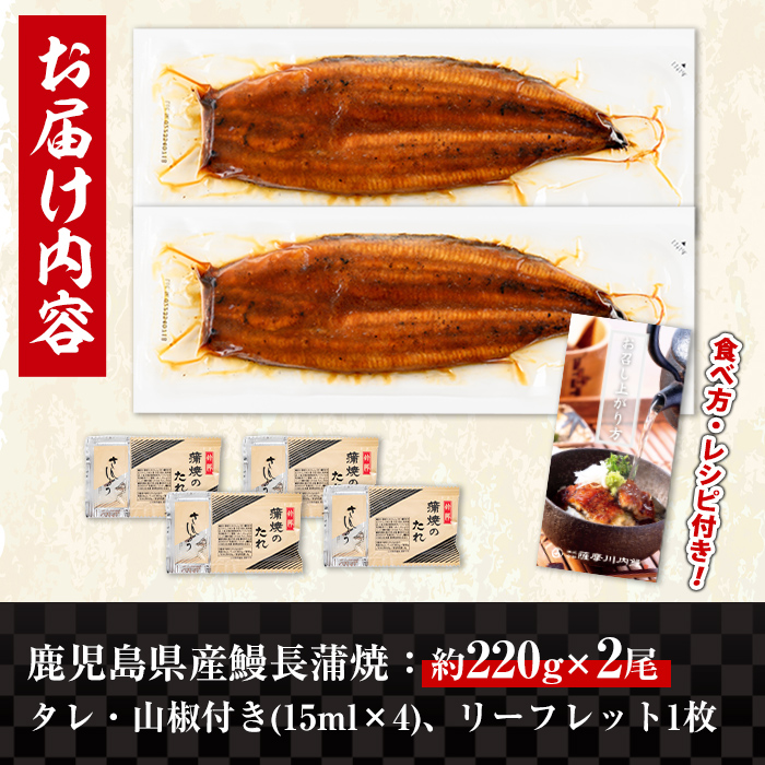 i1078-A ＼特大サイズ／鹿児島県産 うなぎ蒲焼 2尾（約220g×2・計約440g） たれ 山椒付きうなぎ 鰻 ウナギ 特大 特大サイズ 約220g 蒲焼き 国産 鹿児島県産 焼きたて 生産量日本一 真空パック おかず 晩御飯 特別な日 土用の丑の日 【薩摩川内鰻】