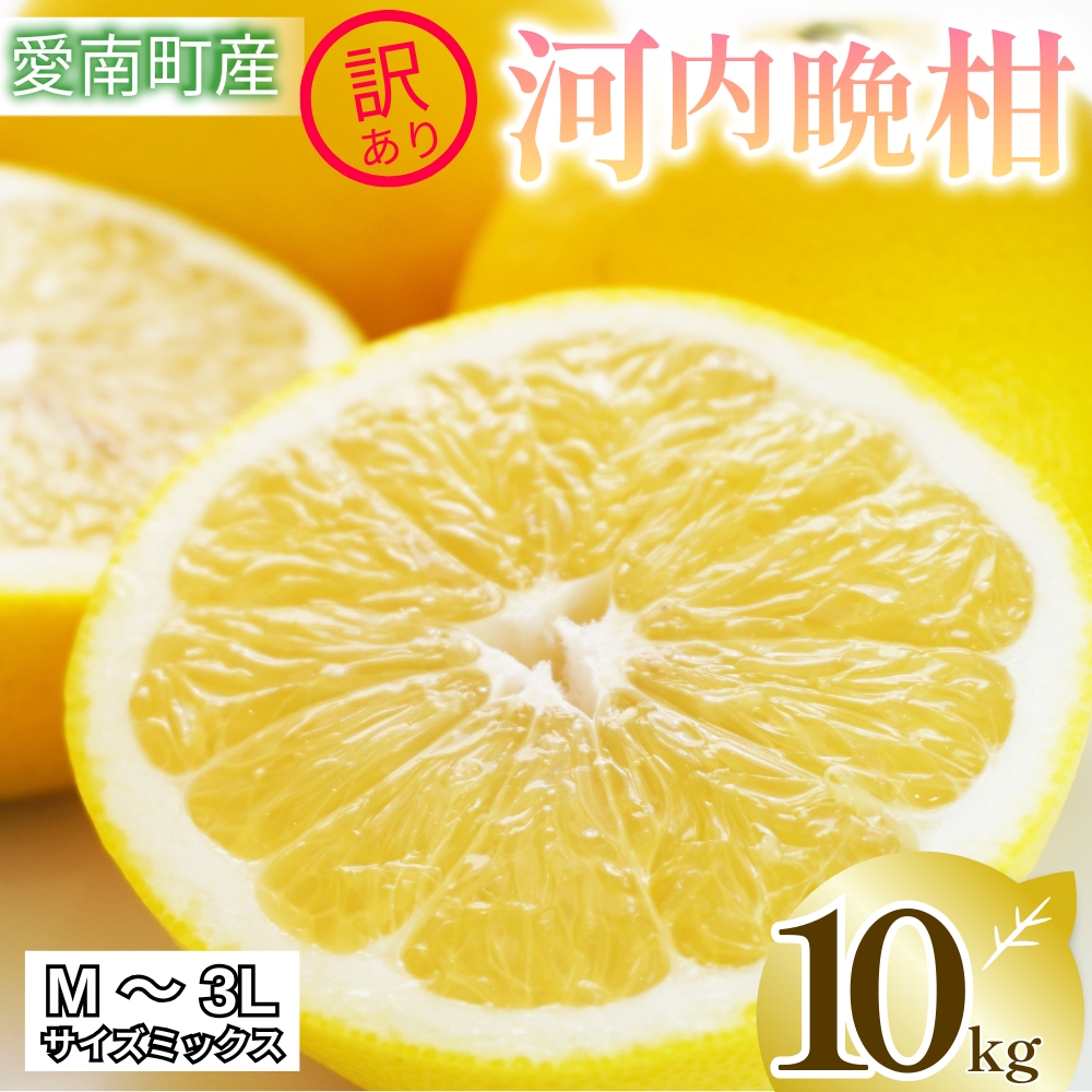 訳あり 河内晩柑 10kg サイズミックス 家庭用 樹齢 20年 以上 古木 和製 グレープフルーツ 愛南ゴールド 直送  フルーツ 人気 柑橘 爽やか 甘み ジューシー 果汁 旬の果物 くだもの みかん サイズ不揃い 産地直送 農園直送 春 味覚 初夏 デザート ジュース おすすめ 生搾り デザート ゼリー 愛媛県 愛南町 清家ばんかんビレッジ
