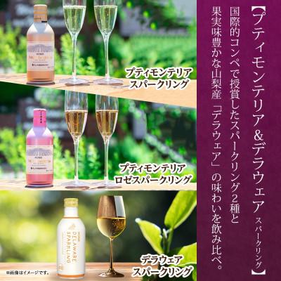 ふるさと納税 笛吹市 スパークリングワイン 5種 飲み比べ ボトルワイン1本・缶ワイン4種8本 山梨県 笛吹市 |  | 02