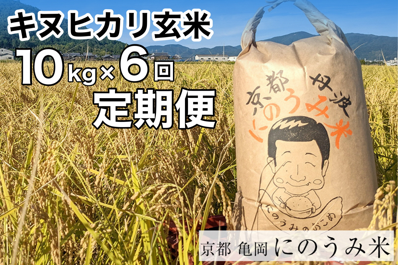 
                  【定期便】【令和8年産先行予約】米 キヌヒカリ 定期便 玄米 10kg×6カ月〈アグリにのうみ〉京都・亀岡産《令和8年産》※2026年10月～発送
                