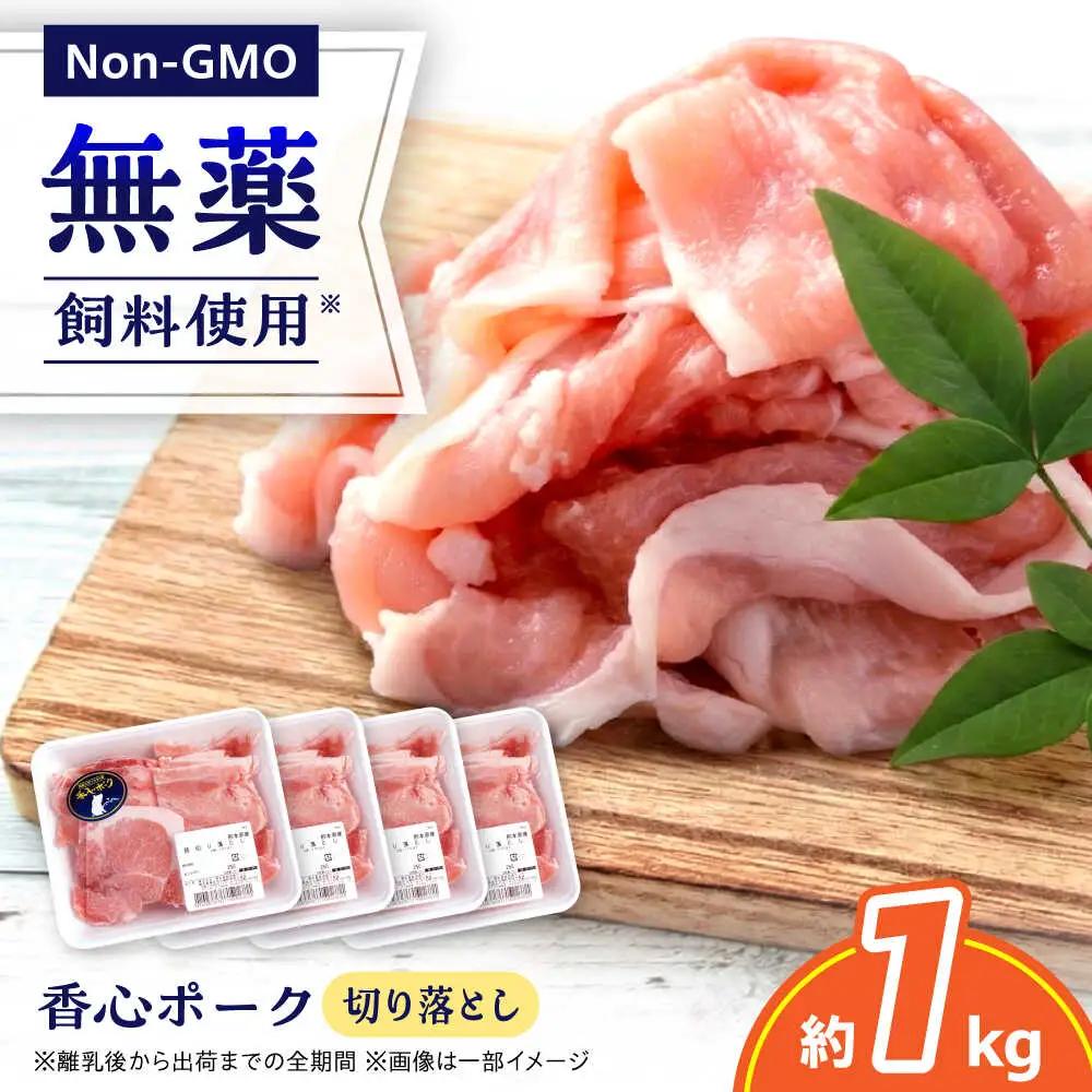 『香心ポーク』切り落とし 約250g×4パック 豚肉切り落とし[AYCK024]