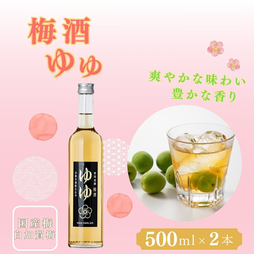 【ふるさと納税】梅酒ゆゆ 500ml×2本 国産梅 白加賀梅 米焼酎 新潟銘醸 【0002-0032-01】
