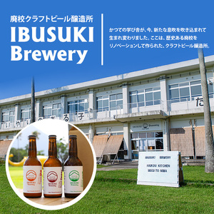 クラフトビール いぶすきジューシー IPA【先生のお気に入り】6本 (いぶすきブルワリー/IB153-002) クラフトビール 瓶 ビール セット ビールセット