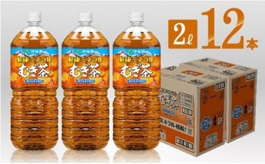 
										
										伊藤園 健康ミネラル むぎ茶 2L×6本×2ケースPET 【 飲料類 水分補給 ソフトドリンク お茶 麦茶 ペットボトル 】 宮崎県川南町［D07303］
									