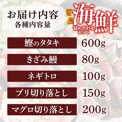 ふるさと納税 田野町 厳選 海鮮5種詰め合わせセット |  | 03