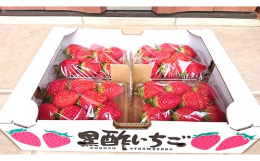 NB22x2 黒酢いちご（ゆめのか）レギュラーパック 260g×4パック （計1040g） 黒酢いちご 黒酢苺 黒酢イチゴ いちご 苺 イチゴ ストロベリー ゆめのか 甘い 美味しい おいしい 太良町