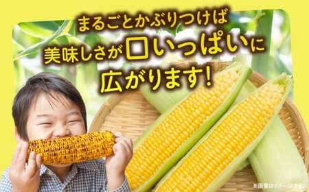 三木町産　ゴールドラッシュとホワイトコーンの食べ比べセット_mk059-023