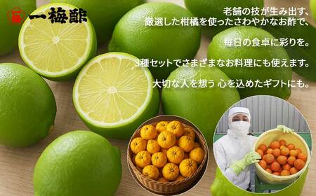 四国の絶品 柑橘王国愛媛 老舗の手づくり 柑橘ぽん酢 食べ比べ 3種 200ml×3本 セット （手しぼりだいだいぽんず 手づくりゆずぽんず 手づくり青レモンぽんず） 【昭和23年創業 一梅酢】 国産