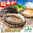 【ふるさと納税】天然 活き アワビ 3枚セット 瀬戸内海産 アワビ あわび 鮑 バター焼き 新鮮 魚介類 ＼レビューキャンペーン中／愛媛県大洲市/天然活魚 濱 屋[AGBP007] 45000円 45000 四万五千 四万五千円