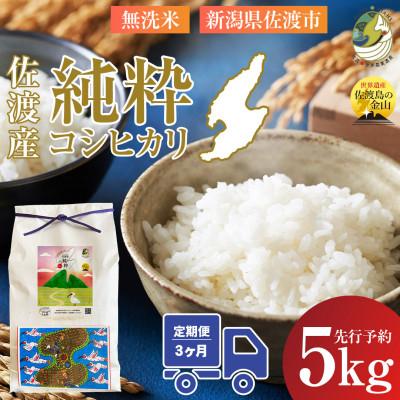 ふるさと納税 佐渡市 【発送月固定定期便】先行予約　令和8年1月発送開始　新潟県佐渡産純粋コシヒカリ　無洗米5kg全3回