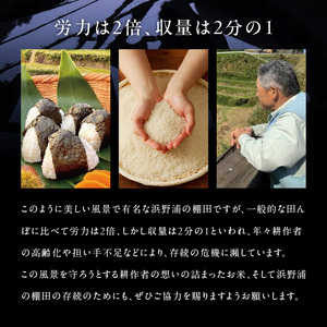浜野浦 棚田米 10kg ／コシヒカリ 米【B106】