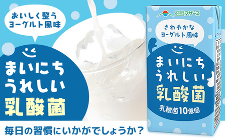 常温保存可能【1ヶ月毎6回定期便】まいにちうれしい 乳酸菌 ヨーグルト風味 250ml×24本 計144本 合同会社たべたせいか《お申し込みの翌月から出荷》熊本県 菊池市 紙パック ヨーグルト飲料 乳