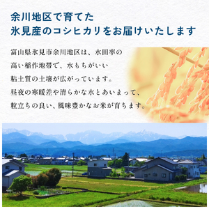 ＜先行予約＞富山県産 コシヒカリ 20kg 精米 ＜2025年9月中旬以降順次発送予定＞ 富山県 米 氷見市 コシヒカリ