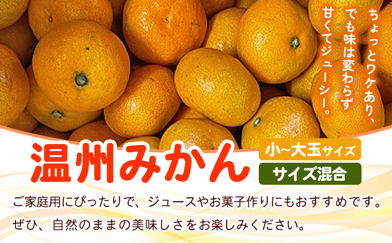 ＜fululy直送 温州みかん 訳あり 約9kg（2S〜2L）＞ ワケアリ サイズ混合 果物 フルーツ 蜜柑 うんしゅうみかん ウンシュウミカン 柑橘 家庭用 合同会社fululy 直送 愛媛県 西予