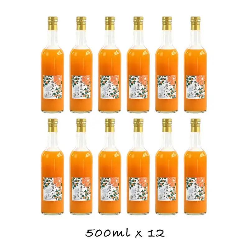 小田原産江之浦みかん１００％ストレートジュース５００ml１２本 【みかんジュース みかんジュース 神奈川県 小田原市 】