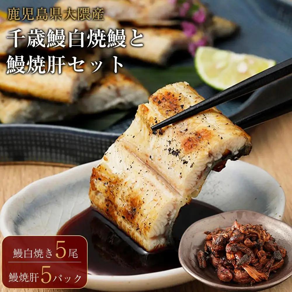 鹿児島県大隅産　千歳鰻 の 白焼 鰻　5尾・ 鰻焼肝 セット｜うなぎ うなぎ