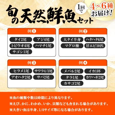 ふるさと納税 小浜市 【3ヵ月毎定期便】「若狭小浜港産地直送」のお任せ天然鮮魚セット!全4回 |  | 02