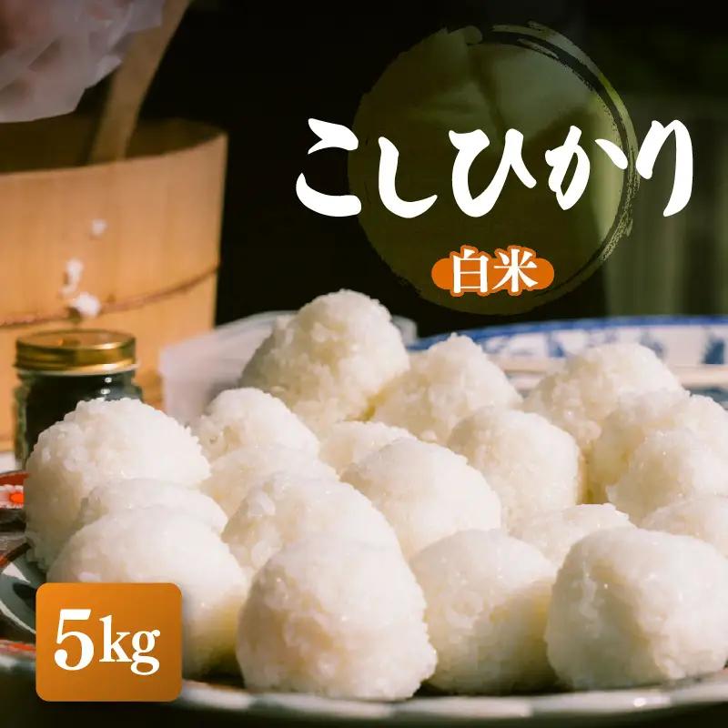 【先行予約】【令和8年産】こしひかり 5kg【白米】【2026年10月中旬以降順次発送】 [e26-a015_01]