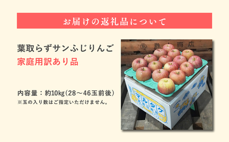 【レビューキャンペーン】《3月発送》訳あり 家庭用 葉取らずサンふじ 約10kg (28～46玉程度) 【りんご 森山商店  青森りんご 年明け発送 3月 林檎 リンゴ サンふじ ふじ 葉とらず 平川