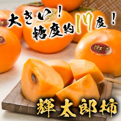 ふるさと納税 八頭町 【2025年発送分】鳥取県オリジナル品種「輝太郎柿」3kg