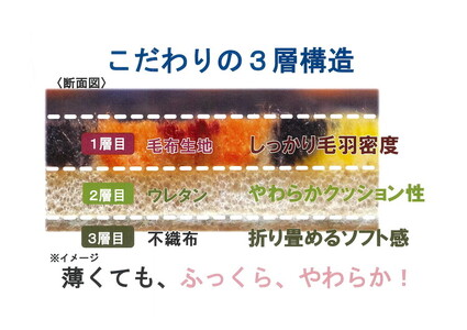 吸湿発熱ホットテックス® あったかカーペット 正方形 190×190cm 1枚 A-34921S
