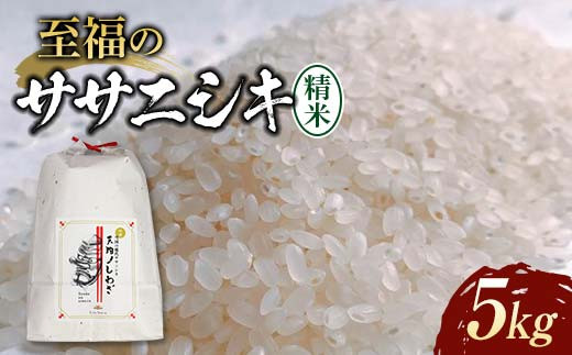 
                  【令和8年産米先行予約】至福のササニシキ 精米 5kg 米 お米 おこめ 山形県 新庄市 F3S-2848
                