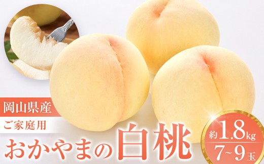 
                  【先行予約】数量限定 おかやまの白桃1.8kg 7～9玉（ご家庭用）【岡山 もも 桃 白桃 果物 フルーツ 甘い おいしい 人気 おすすめ 岡山県 モモ 家庭用】
                