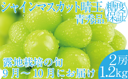 2025年 先行予約受付中 シャインマスカット晴王2房 約1.2kg 岡山県産 種無し 皮ごと食べる みずみずしい 甘い フレッシュ 瀬戸内 晴れの国 おかやま 果物大国 ハレノフルーツ