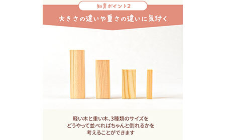 E25-001 森のドミノさん