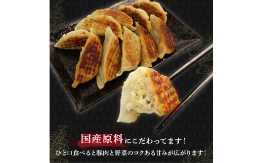 餃子 120個 国産野菜 国産豚肉 冷凍 餃子 大きめ ぎょうざ ギョウザ ギョーザ おつまみ 冷凍食品 食品 惣菜 中華 惣菜 業務用 おかず ビール  ( 冷凍餃子 大容量餃子 国産原料餃子 簡単