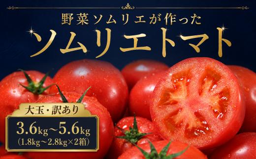 【特別栽培農産物】大玉 訳あり ソムリエトマト 1.8kg～2.8kg × 2箱| 野菜 やさい トマト とまと 銀賞 熊本県 玉名市