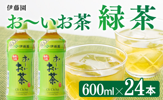 
            おーいお茶　緑茶600ml×24本 PET【飲料 飲み物 ソフトドリンク お茶 ペットボトル 備蓄 長期保存 送料無料】宮崎県川南町
          