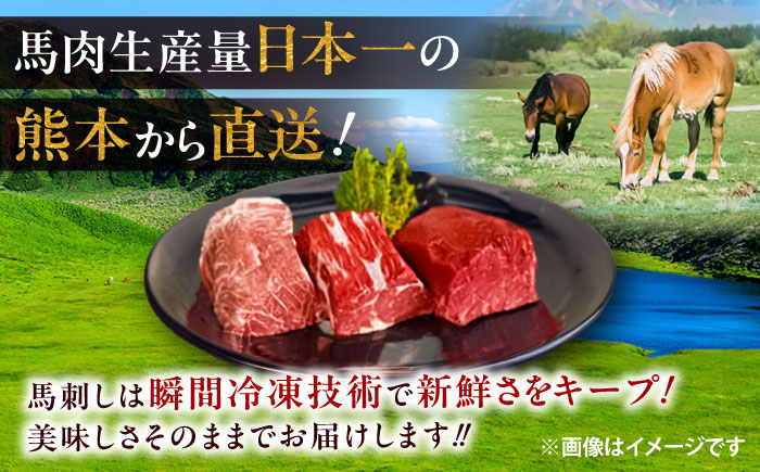 こだわり馬刺し2点盛り 各100g（醤油・生姜付き）計200g / 馬肉 上赤身 トロ セット ばさし 醤油付き 菊陽町 熊本県 特産品 【有限会社菊陽食肉センター】 [BHAC001]