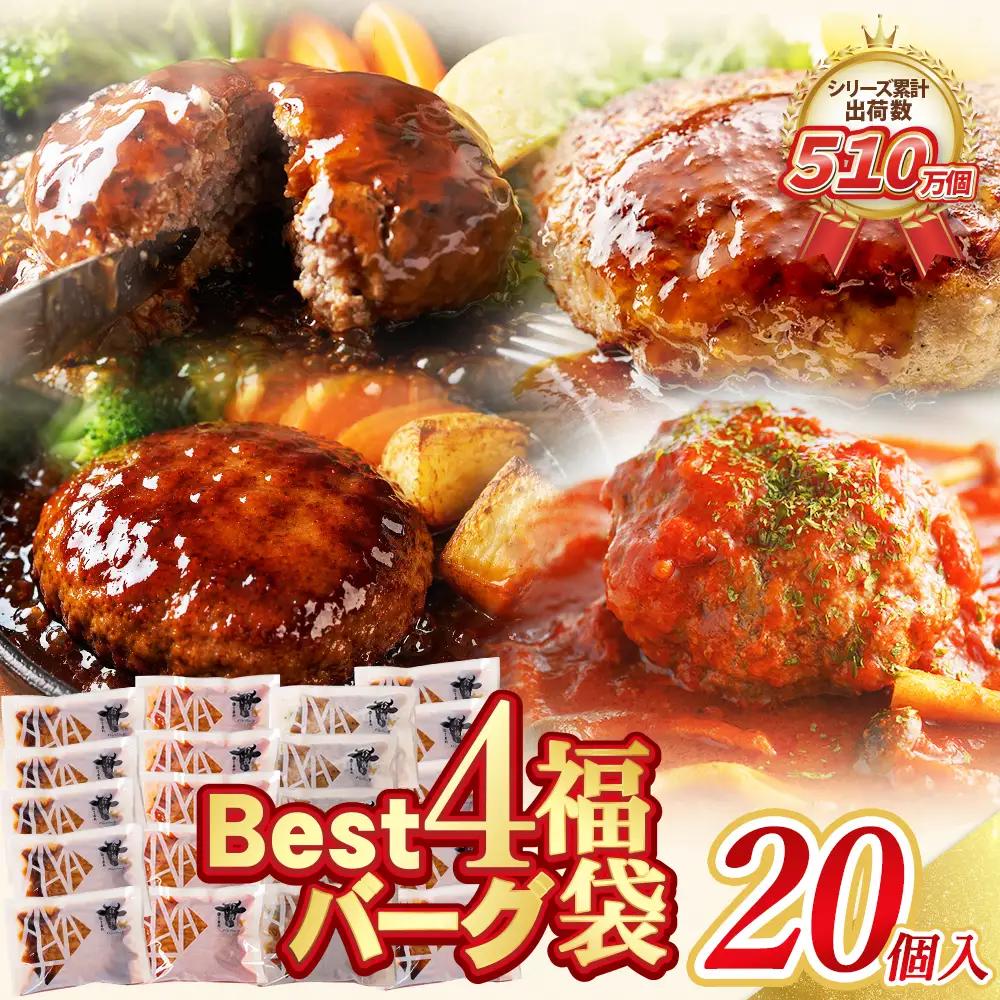 Z61-32 寄附額改定↓↓ Best4バーグ 20個セット ハンバーグ