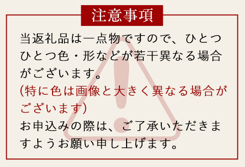 ガオー！電気スタンド＆恐竜絵本セット 御船町 河内愛農園《受注制作につき最大3カ月以内に出荷予定》---sm_gaoehonsetx_90d_20_35000---