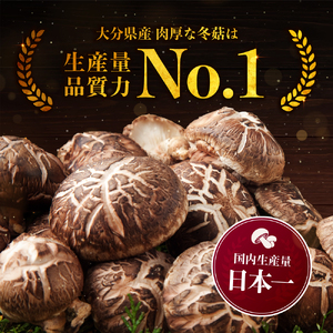大分県産 どんこ 乾燥椎茸 50g×4 | 乾しいたけ 干し椎茸 干ししいたけ 乾燥しいたけ 干しシイタケ 大分県産 九州産 中津市