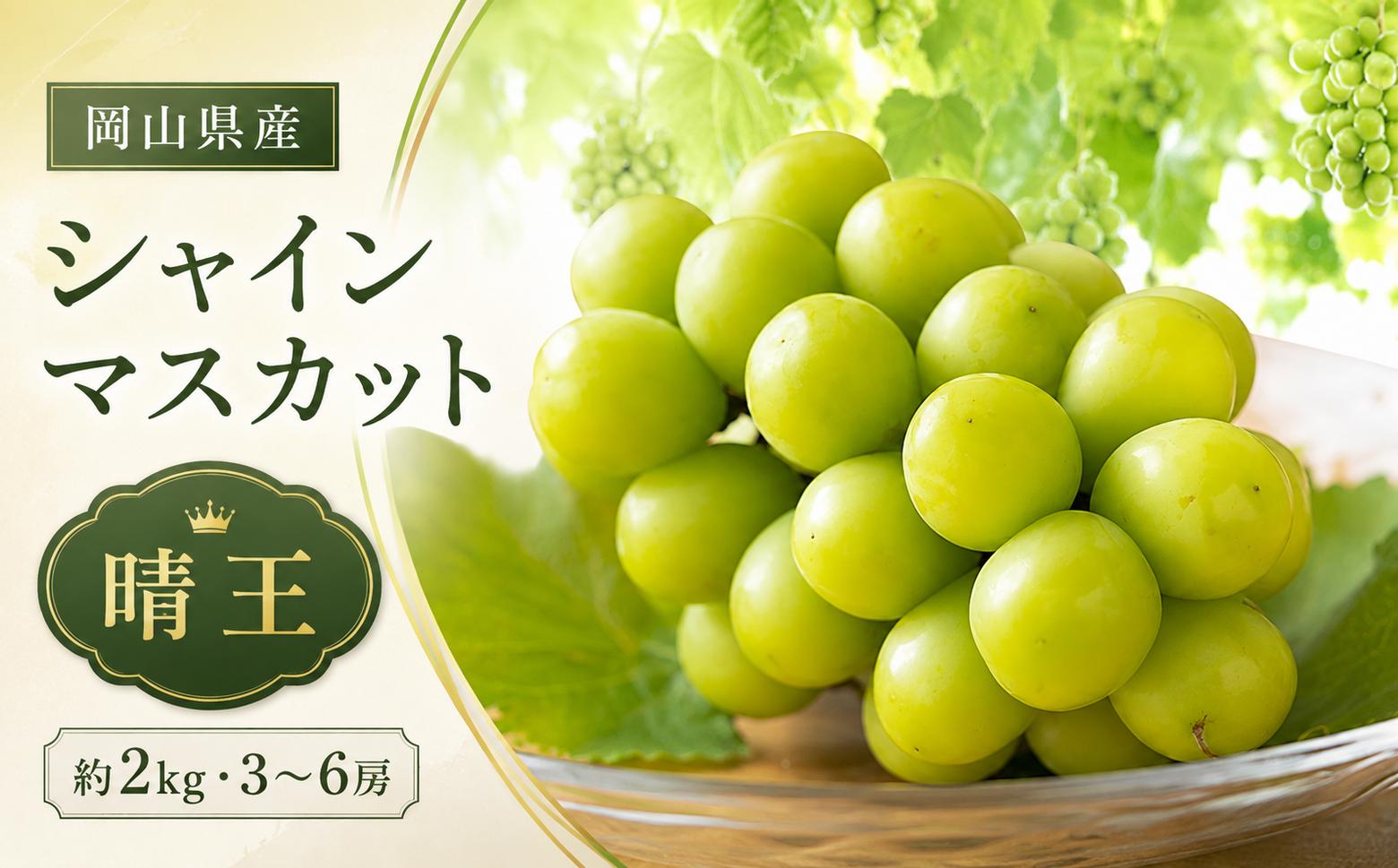 
                  ぶどう 2026年 先行予約 シャイン マスカット 晴王 約2kg 3～6房 種無し ブドウ 葡萄 岡山県産 国産 フルーツ 果物 ギフト デザート 果実 美しい 大粒 高糖度 皮ごと パリッ 弾力 食感
                