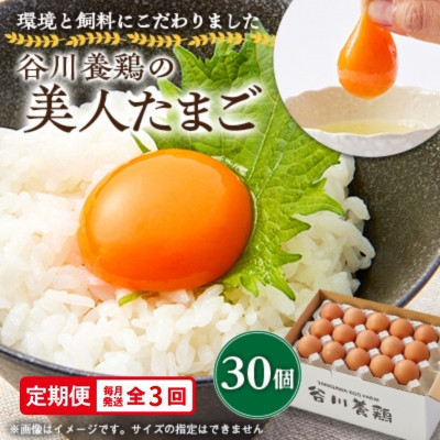 
                  【毎月定期便】計90個【生みたて濃厚】谷川養鶏の美人たまご30ヶ入り(※サイズ指定できません)全3回【4092242】
                